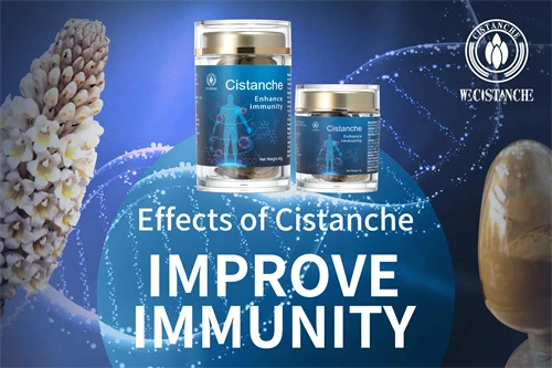where to buy cistanche where to buy cistanche