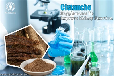 cistanche supplement review