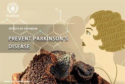 Cistanche benefits