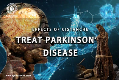 Cistanche benefits