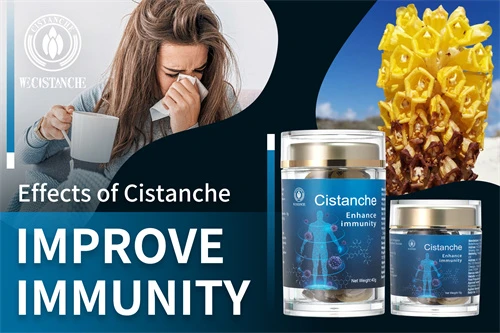 cistanche effects