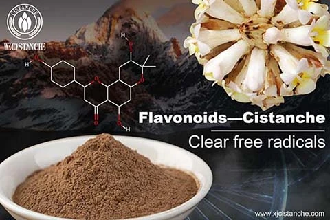 Flavonoid (2)