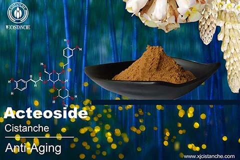 Acteoside in Cistanche (15)