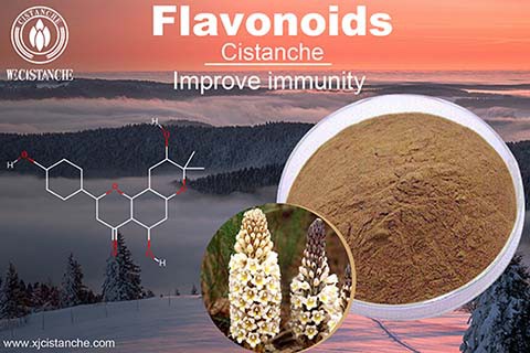Flavonoid-1