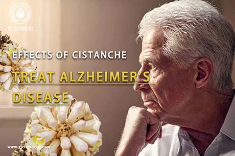 Anti Alzheimer's (3)