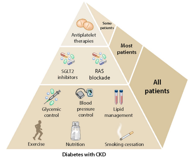 cistanche for ckd