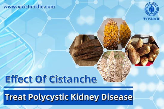 TOP-QUALITY CISTANCHE 25% Echinacoside