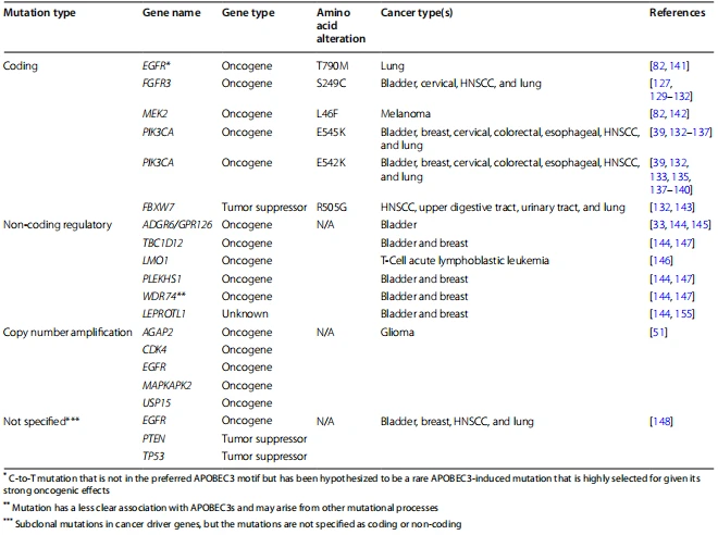 Table 3 Recurrent APOBEC3-induced somatic mutations and copy number alterations in cancer