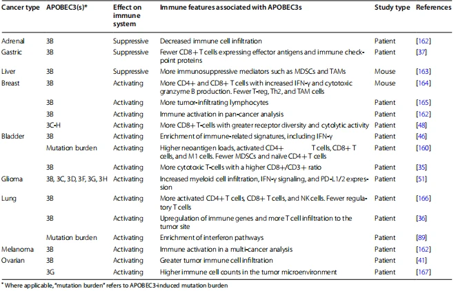 Table 4 Immune-modulating effects of APOBEC3s by cancer type
