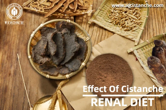 9% acteoside cistanch for kidney
