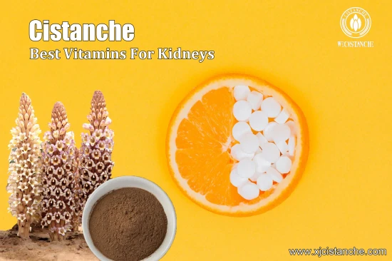 25% echinacoside 9% acteoside cistanche for sell