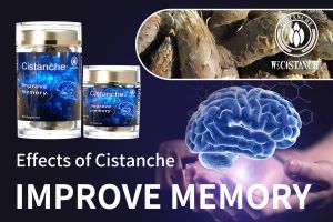 increase brain power