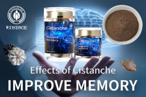 ways to improve your memory