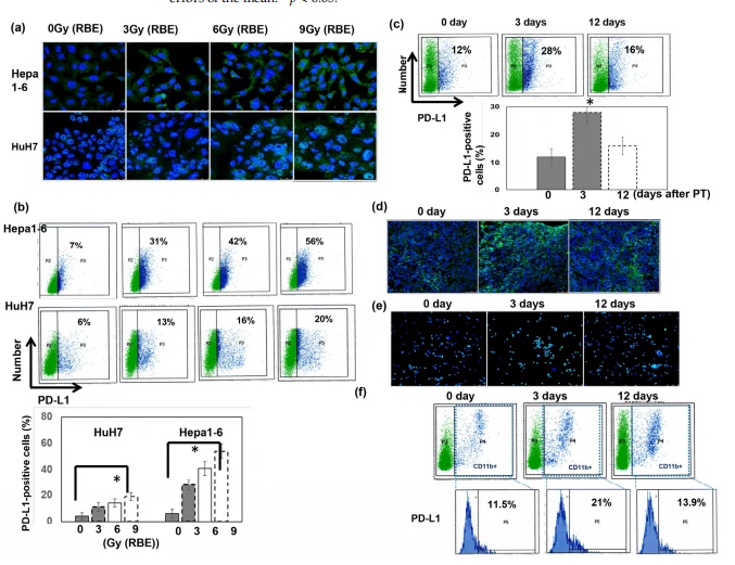 Figure 5. Effect of PT on PD-L1 expression. The levels of PD-L1 were evaluated using (a) IF (DAPI, blue; PD-L1, green), (b) FACS staining for human and murine liver cancer cells at 48 h after PT in vitro and (c) FACS, and (d) IF for murine liver tumors at the indicated times after PT for 12 Gy (RBE) in vivo. The y-axis is the relative fold change in PD-L1 expression at the indicated conditions after PT. Data are presented as means ± standard errors of the mean. * p < 0.05. Furthermore, the expression of PD-L1 in murine CD11b+ cells following PT irradiation was evaluated via (e) IF and (f) FACS analysis (CD11b+ cells, blue spots)
