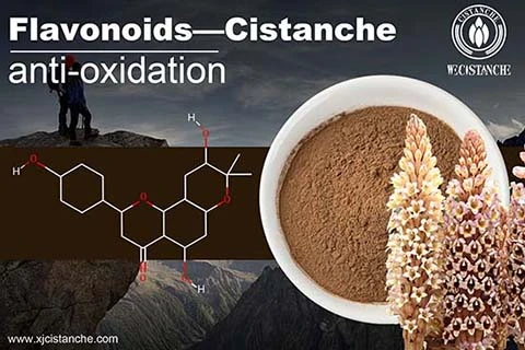 Flavonoid (4)