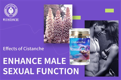 cistanche tubulosa for enhancing sexual function