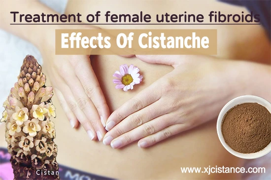 Treatment of female uterine fibroids