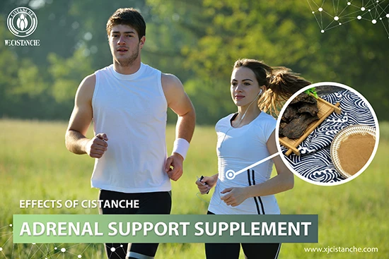 benefits of cistanche tubulosa