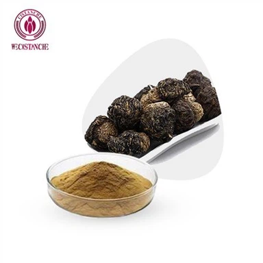 مسحوق مستخلص جذور الماكا السوداء