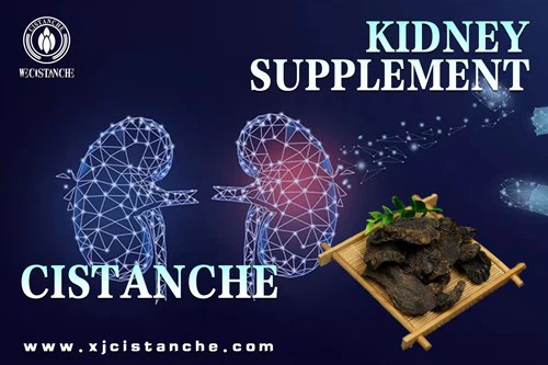 kidney supplement
